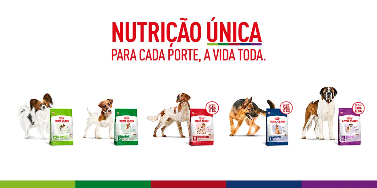 [RC] - BRAND PAGE SHN  PETYARD - BANNER SECUNDARIO.png