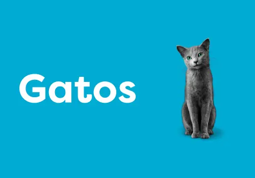 Mobile_Gatos Padrão.png