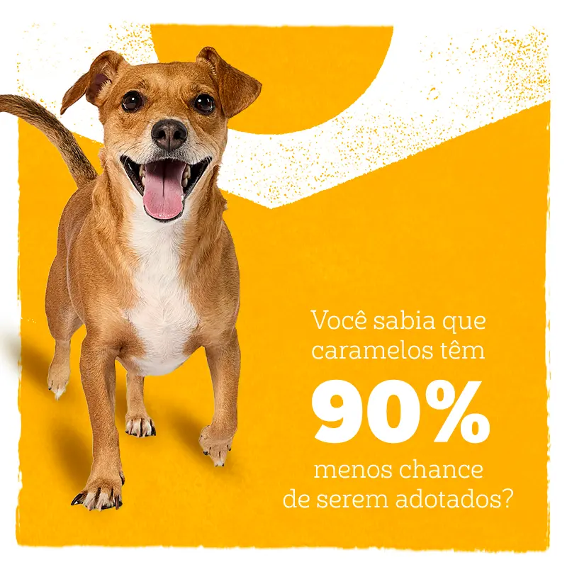 Banner 2.png
