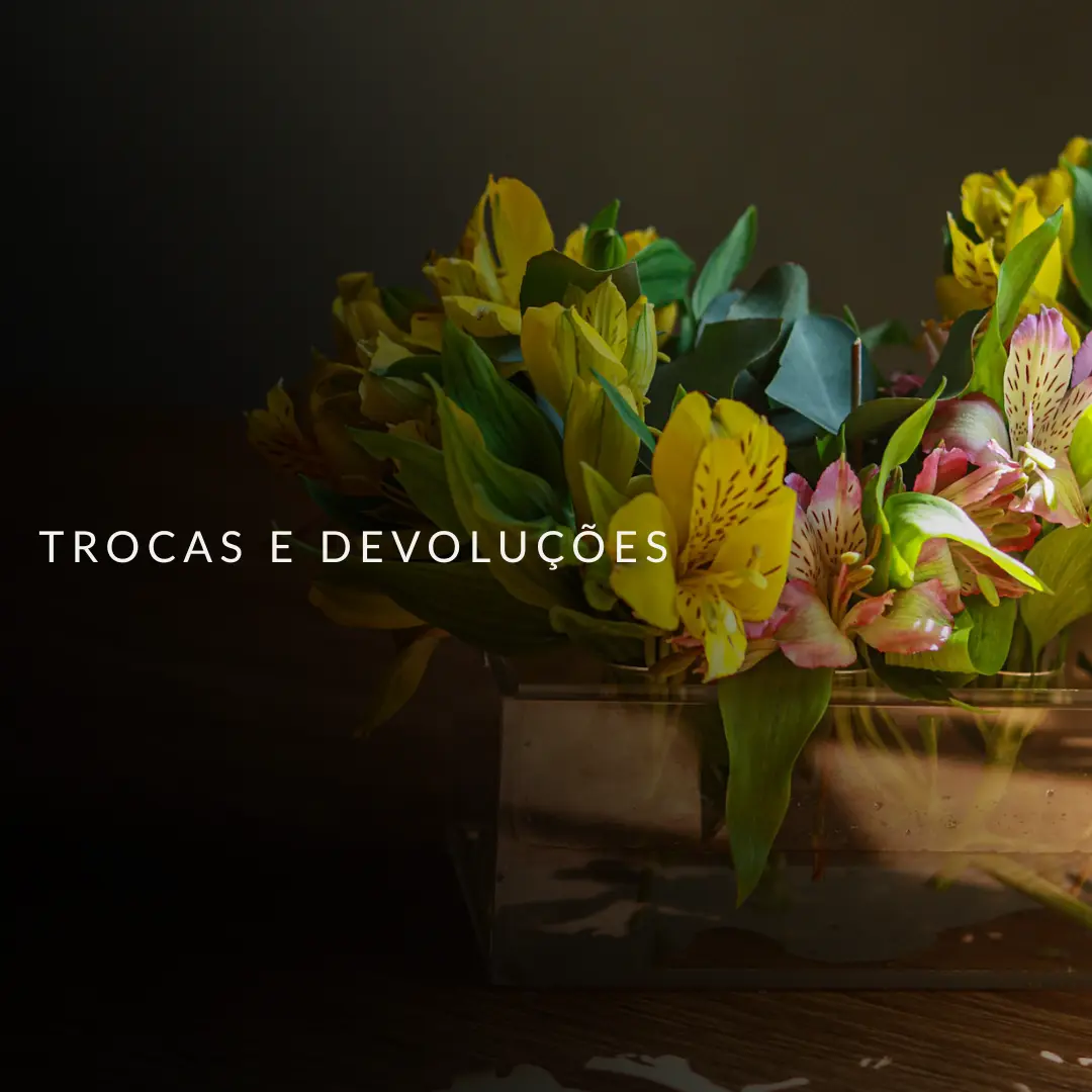 trocas e devoluções.png