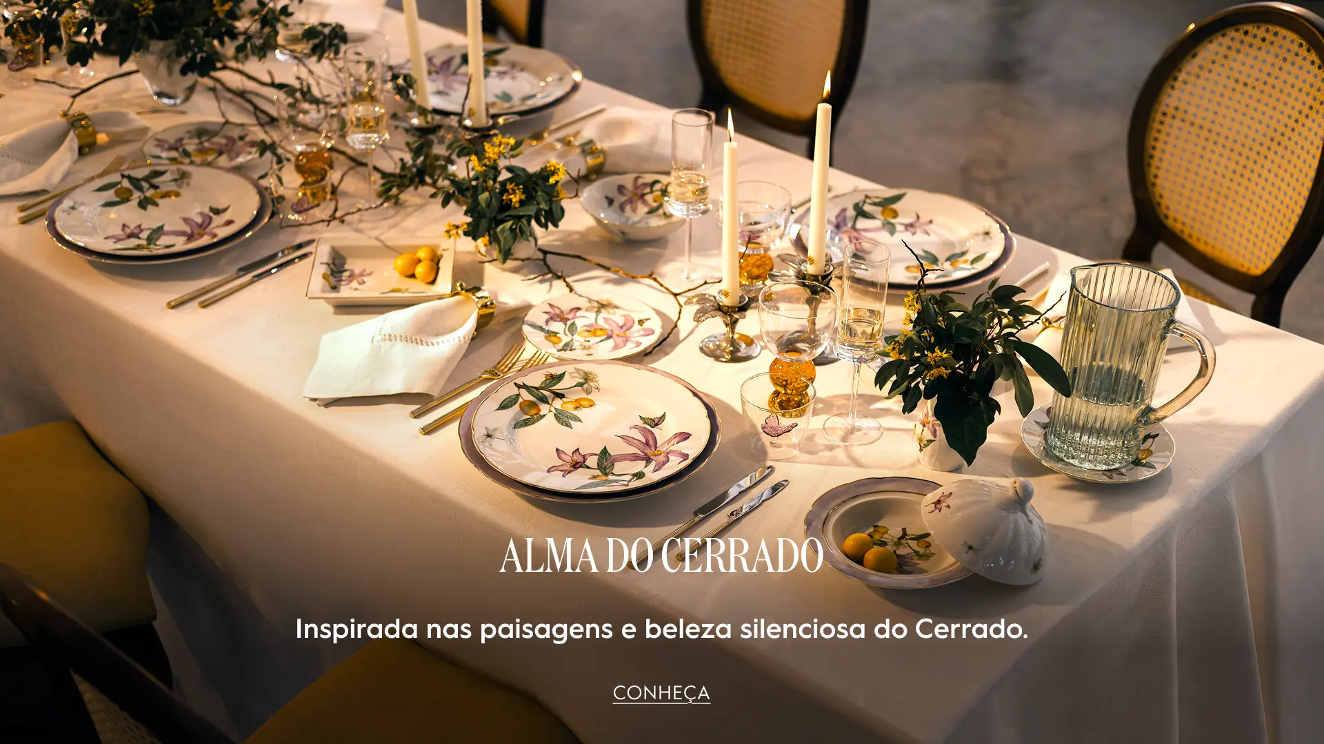 06.Desktop-_Banner-Alma do Cerrado.jpg