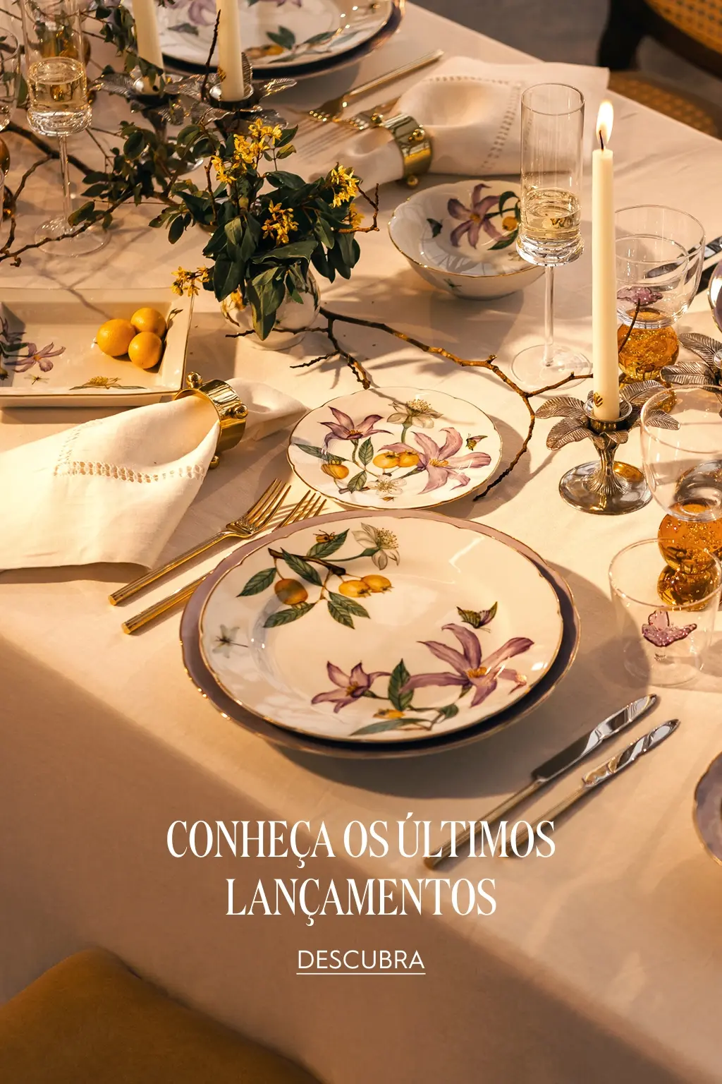 Full_Banner_Mobile_Alma_do_Cerrado_2x.jpg