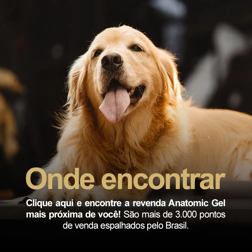 banner-home-final-anatomicgel-onde-encontrar-mobile.jpg