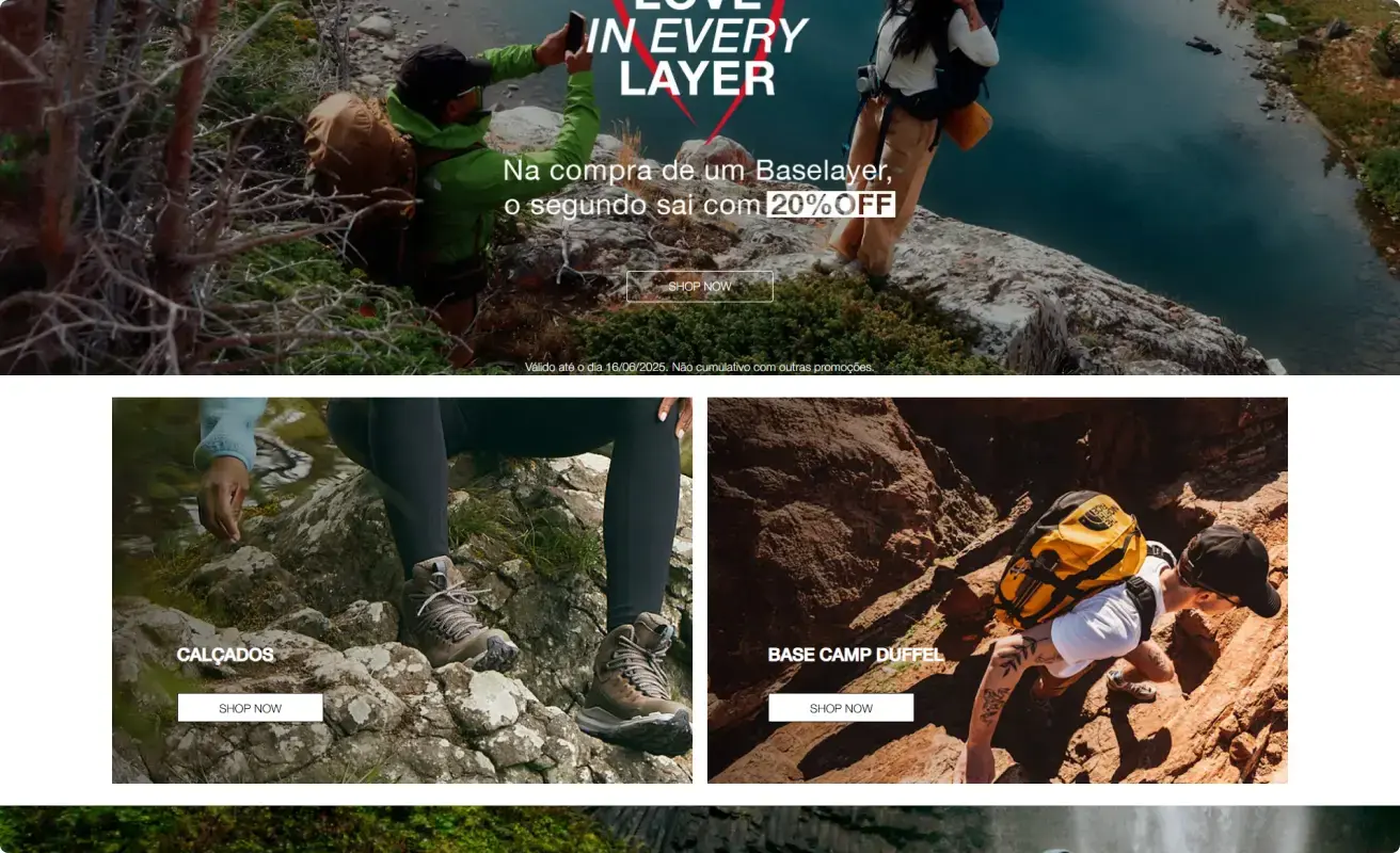 the north face.webp